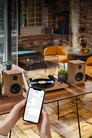 Bluetooth_Input_Record_Player_with_Speakers_1 - Retrolife Official Store