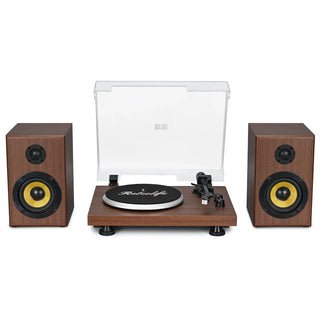 Bluetooth Input Record Player HiFi System with 2*30W Speakers UD016 - Retrolife Official Store
