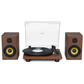 Bluetooth Input Record Player HiFi System with 2*30W Speakers UD016 - Retrolife Official Store