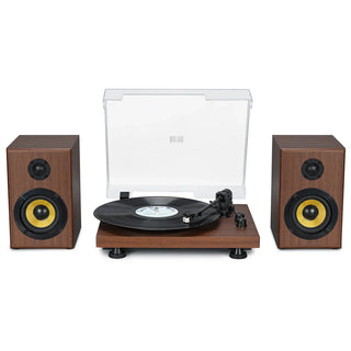 Bluetooth Input Record Player HiFi System with 2*30W Speakers UD016 - Retrolife Official Store