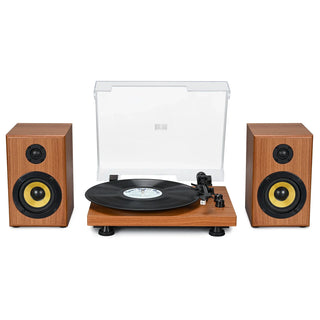 Bluetooth Input Record Player HiFi System with 2*30W Speakers UD016 - Retrolife Official Store