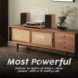 Bluetooth Input Record Player HiFi System with Stereo Speakers & ATN3600L Stylus SY101 - Retrolife Official Store