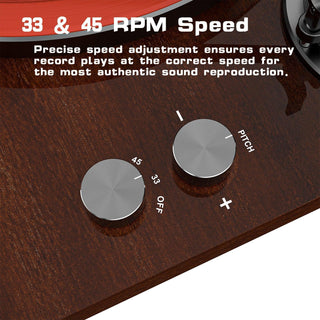 Audiophile Bluetooth Out Turntable with Anti-Skate Control & ATN-3600L Cartridge - Retrolife Official Store