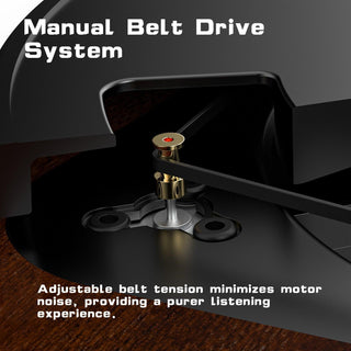 Audiophile Bluetooth Out Turntable with Anti-Skate Control & ATN-3600L Cartridge - Retrolife Official Store