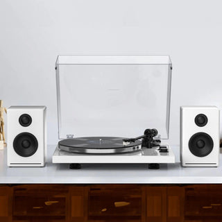 Audiophiles Turntable with Bluetooth Output and MM Cartridge HQKZ-006 White - Retrolife Official Store
