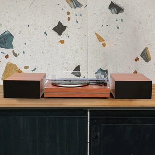 retrolife-record-player-with-speaker-_14 - Retrolife Official Store