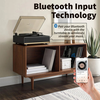 Light Up Record Player with Built-in 40W Speakers & ATN-3600L MM Stylus RT26