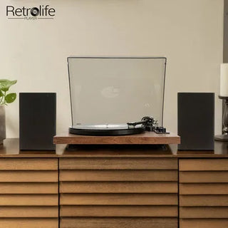 the-reason-why-to-choose-retrolife-record-player-website-1-3-407x-crop-center-_1__407x_563cea96-a533-40d2-984e-b76411fa62b5 - Retrolife Official Store