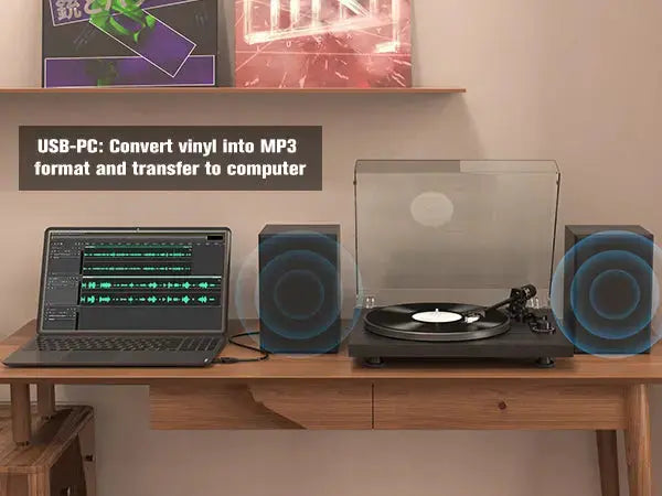 A Step-by-Step Guide to Recording Vinyl with the UD006 Turntable Retrolife Official Store