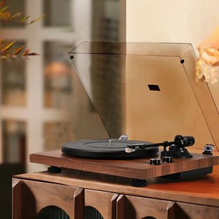 Best of Both Worlds - The Top Stereo Speaker System SY101 for Vinyl Lovers