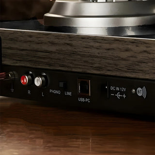 Turntable rear panel with phono line switch, RCA inputs, USB-PC port, DC input, Bluetooth button