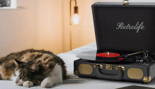 Retrolife record player with vinyl on bed beside sleeping cat, cozy room lighting