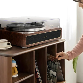 How to Fix Hum in Your Vinyl Record Player Retrolife Official Store