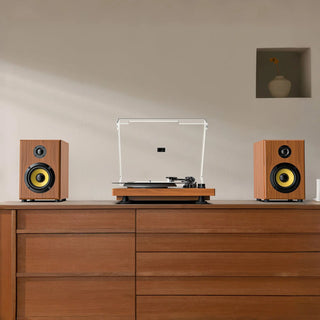 The Ultimate New Arrival Record Player for High Performance Vinyl Listening Retrolife Official Store