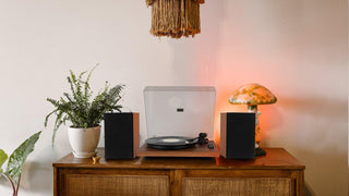 Turntable and speakers on wooden cabinet with potted plant and mushroom lamp