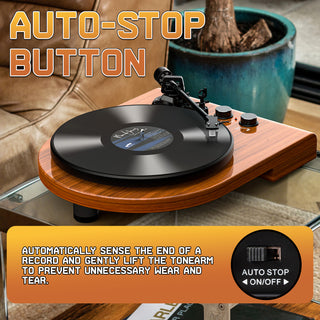 High Quality Wooden Bluetooth In&Out Turntable with ATN-3600L Stylus UD009