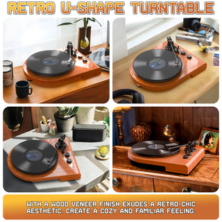 High Quality Wooden Bluetooth In&Out Turntable with ATN-3600L Stylus UD009