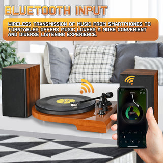 High Quality Wooden Bluetooth In&Out Turntable with ATN-3600L Stylus UD009