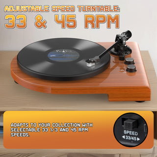 High Quality Wooden Bluetooth In&Out Turntable with ATN-3600L Stylus UD009