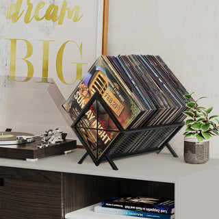 Desktop Vinyl Record Storage Holder Holds 100 LPs  Retrolife Official Store 