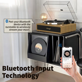 High-Quality Bluetooth Record Player with Built-in HiFi Speakers & MM Cartridge R517