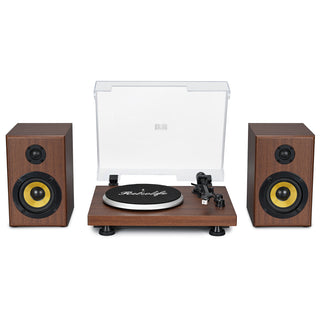 Bluetooth Input Record Player HiFi System with 2*30W Speakers UD016 - Retrolife Official Store