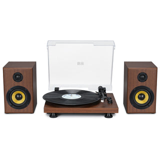 Bluetooth Input Record Player HiFi System with 2*30W Speakers UD016 - Retrolife Official Store