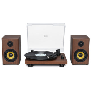 Bluetooth Input Record Player HiFi System with 2*30W Speakers UD016 - Retrolife Official Store