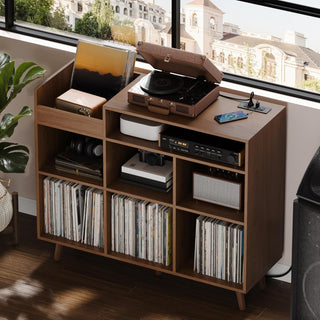 Mid-Century Modern Record Cabinet with Vinyl Storage & Media Organizer