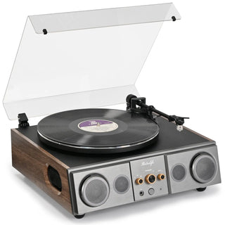 High Performance Record Player with Built-in Speakers T27S