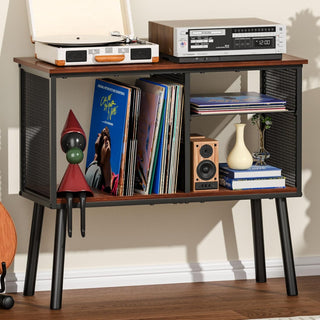 3-Compartment Vinyl Record Storage Stand with Adjustable Divider