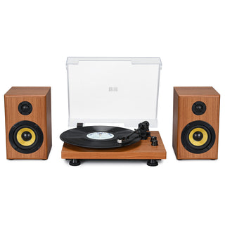 Bluetooth Input Record Player HiFi System with 2*30W Speakers UD016 - Retrolife Official Store