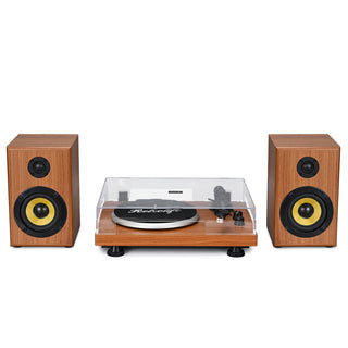 Bluetooth Input Record Player HiFi System with 2*30W Speakers UD016 - Retrolife Official Store