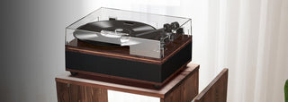 Retrolife_All_In_One_Record_Player_with_Speakers_7 - Retrolife Official Store