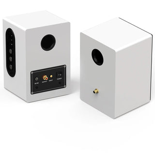 High-Performance Bluetooth Speaker with Treble & Bass Controls and Desktop Stands RT201- BT  Retrolife Official Store 
