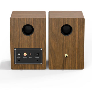 High-Performance Bluetooth Speaker with Treble & Bass Controls and Desktop Stands RT201- BT  Retrolife Official Store 