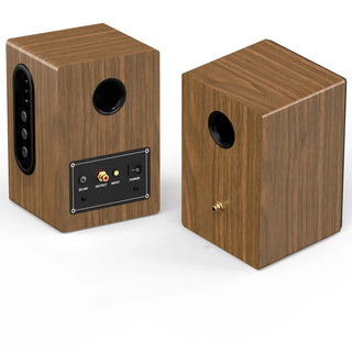 High-Performance Bluetooth Speaker with Treble & Bass Controls and Desktop Stands RT201- BT  Retrolife Official Store 