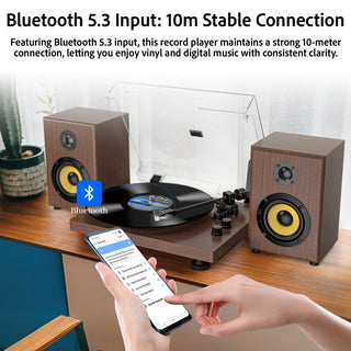 Bluetooth Input & Output Record Player HiFi System with 60W Speakers UD016