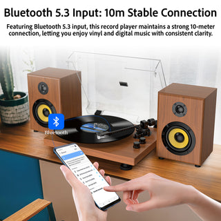Bluetooth Input & Output Record Player HiFi System with 60W Speakers UD016
