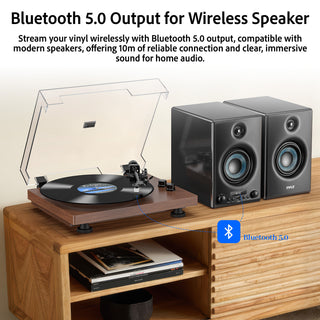 Bluetooth Input & Output Record Player HiFi System with 60W Speakers UD016