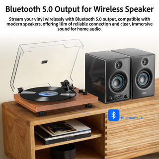 Bluetooth Input & Output Record Player HiFi System with 60W Speakers UD016