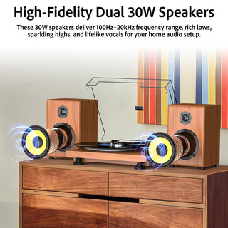 Bluetooth Input & Output Record Player HiFi System with 60W Speakers UD016