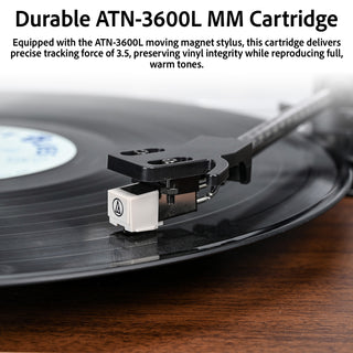 Bluetooth Input & Output Record Player HiFi System with 60W Speakers UD016