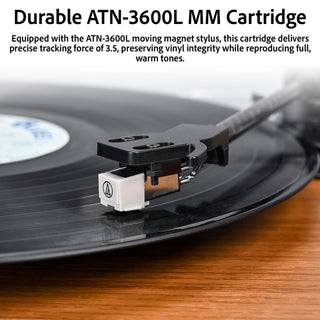 Bluetooth Input & Output Record Player HiFi System with 60W Speakers UD016