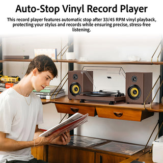 Bluetooth Input & Output Record Player HiFi System with 60W Speakers UD016