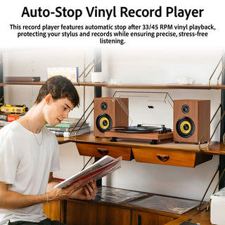 Bluetooth Input & Output Record Player HiFi System with 60W Speakers UD016