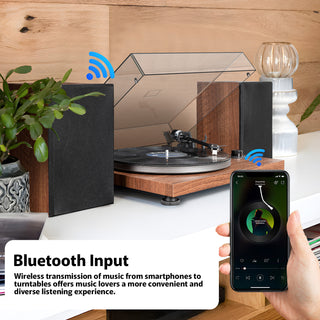 Bluetooth In&Out Record Player HiFi System with Upgraded Quality Speakers UD006