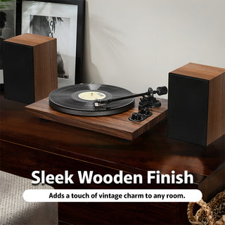 Modern Bluetooth In&Out Record Player HiFi System with Dual 20W Speakers UD006