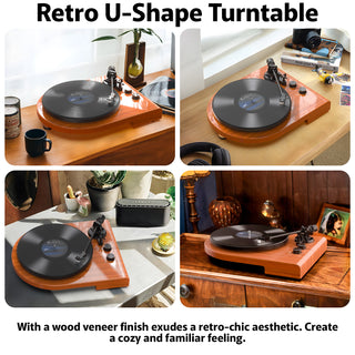 High Quality Wooden Bluetooth In&Out Turntable with ATN-3600L Stylus UD009