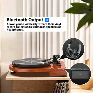 Wooden Bluetooth Input & Output Turntable with Unusual Shape UD009